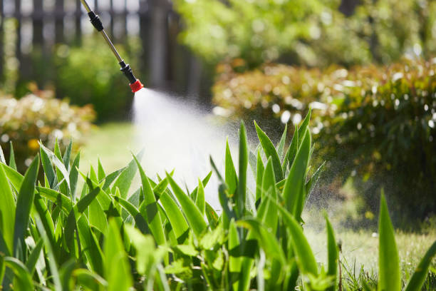 24/7 Emergency Cockroach Control experts in Syracuse, NE