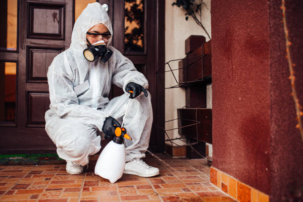 Reliable Cockroach Control contractor in Syracuse, NE by Nex Pest Control