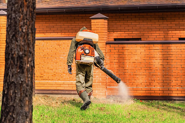 Trusted Termite Control service in Syracuse, NE - Nex Pest Control